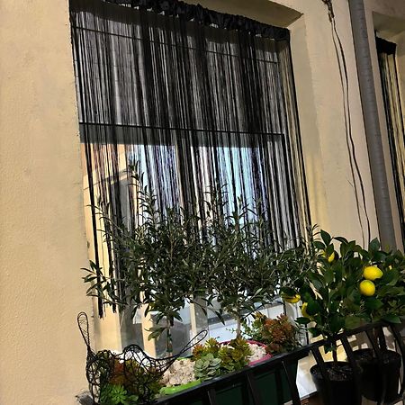 Cozy & Central Malasana Μαδρίτη Εξωτερικό φωτογραφία