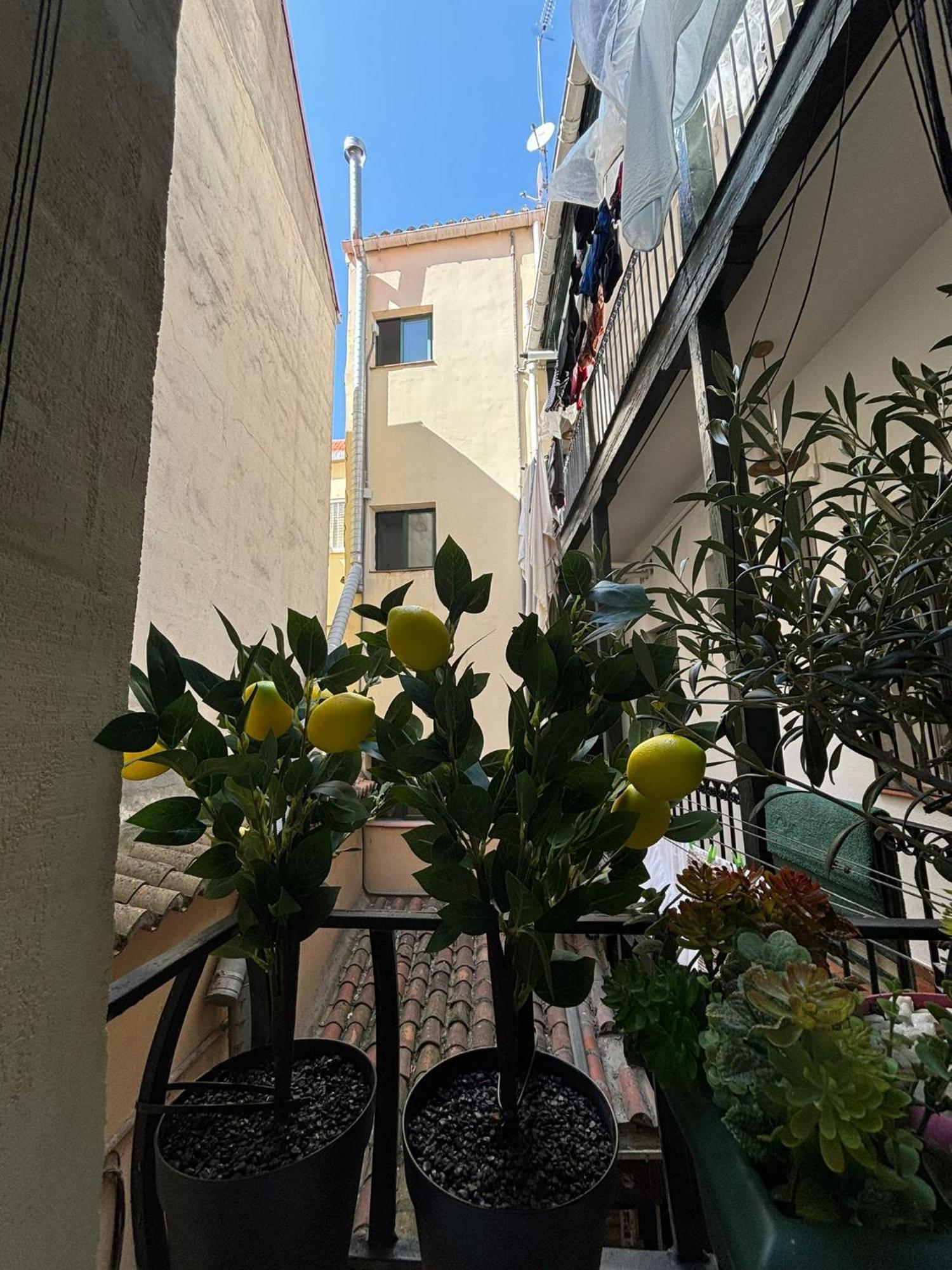 Cozy & Central Malasana Μαδρίτη Εξωτερικό φωτογραφία